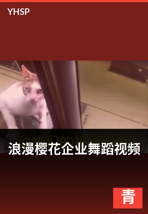 浪漫樱花企业舞蹈视频 - 年会团建的统一编排