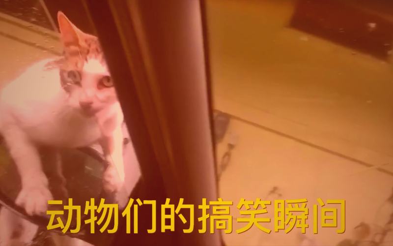 特写镜头：一只手持围棋黑子，正悬在古老的木质棋盘上方准备落子