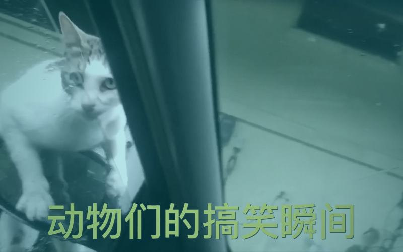 樱花视频日影映画深夜温情片 角色在深夜车站的温情对视