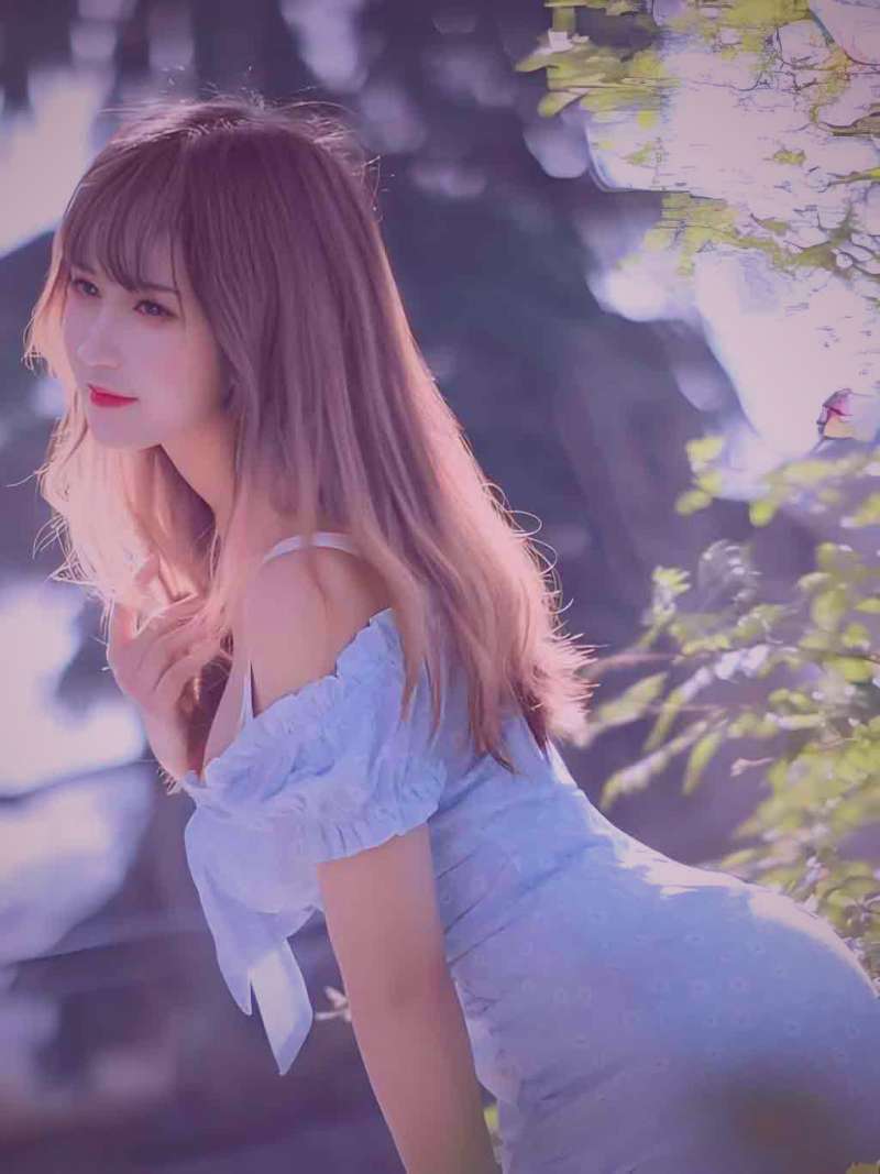 樱花盛开视频 · 满开期画面