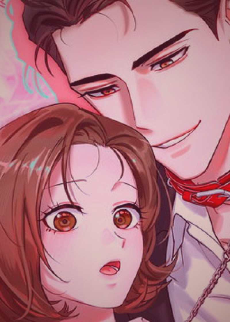 夜樱花视频 · 灯笼夜樱