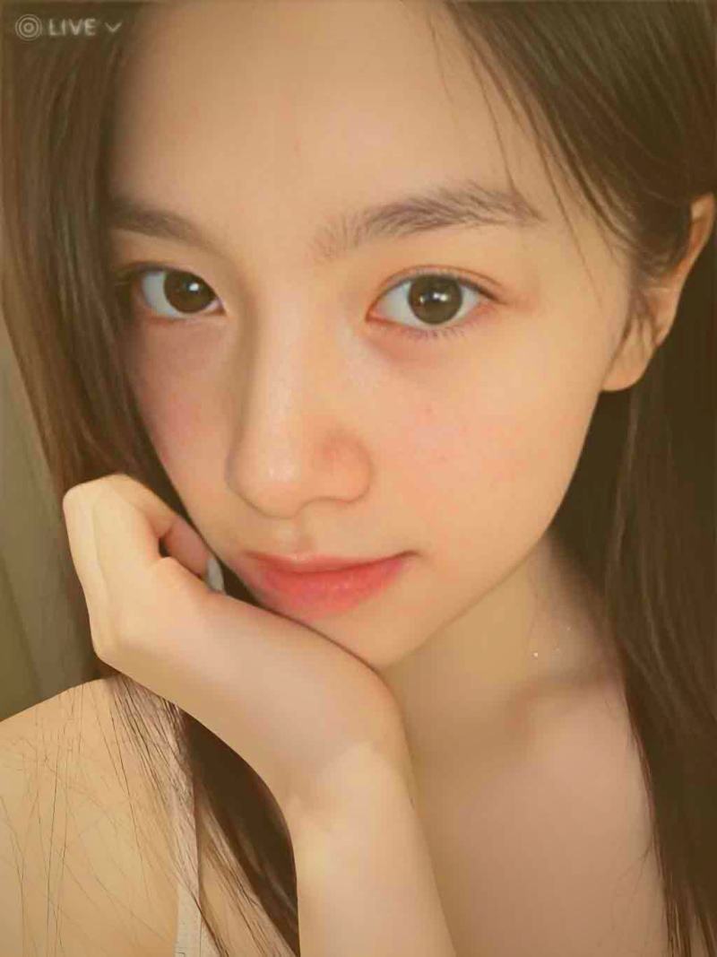 樱花视频番剧弹幕打卡追更界面展示